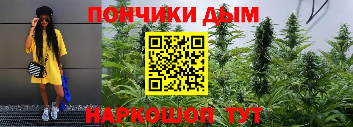 Конопля план  Бошки Шишки гибрид  Трёхгорный  Бошки марихуана план  Конопля THC 21%  Вход с VPN 